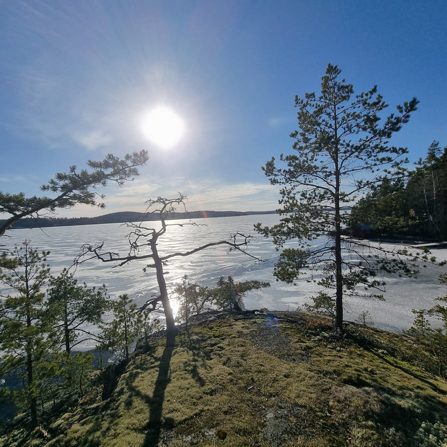 Niemennokka ja järvimaisema keväällä