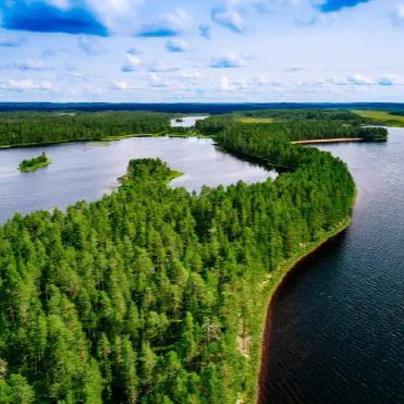 Ilmakuva suomalaisesta järvimaisemasta